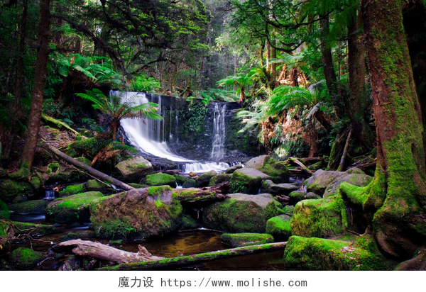 澳大利亚塔斯马尼亚罗素瀑布令人惊叹的瀑布